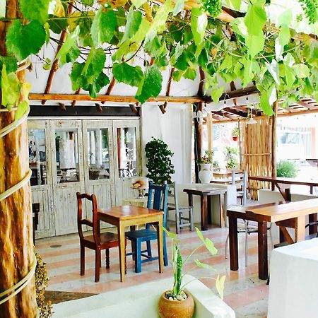Posada Amor Hotel Boutique Пуэрто-Морелос Экстерьер фото