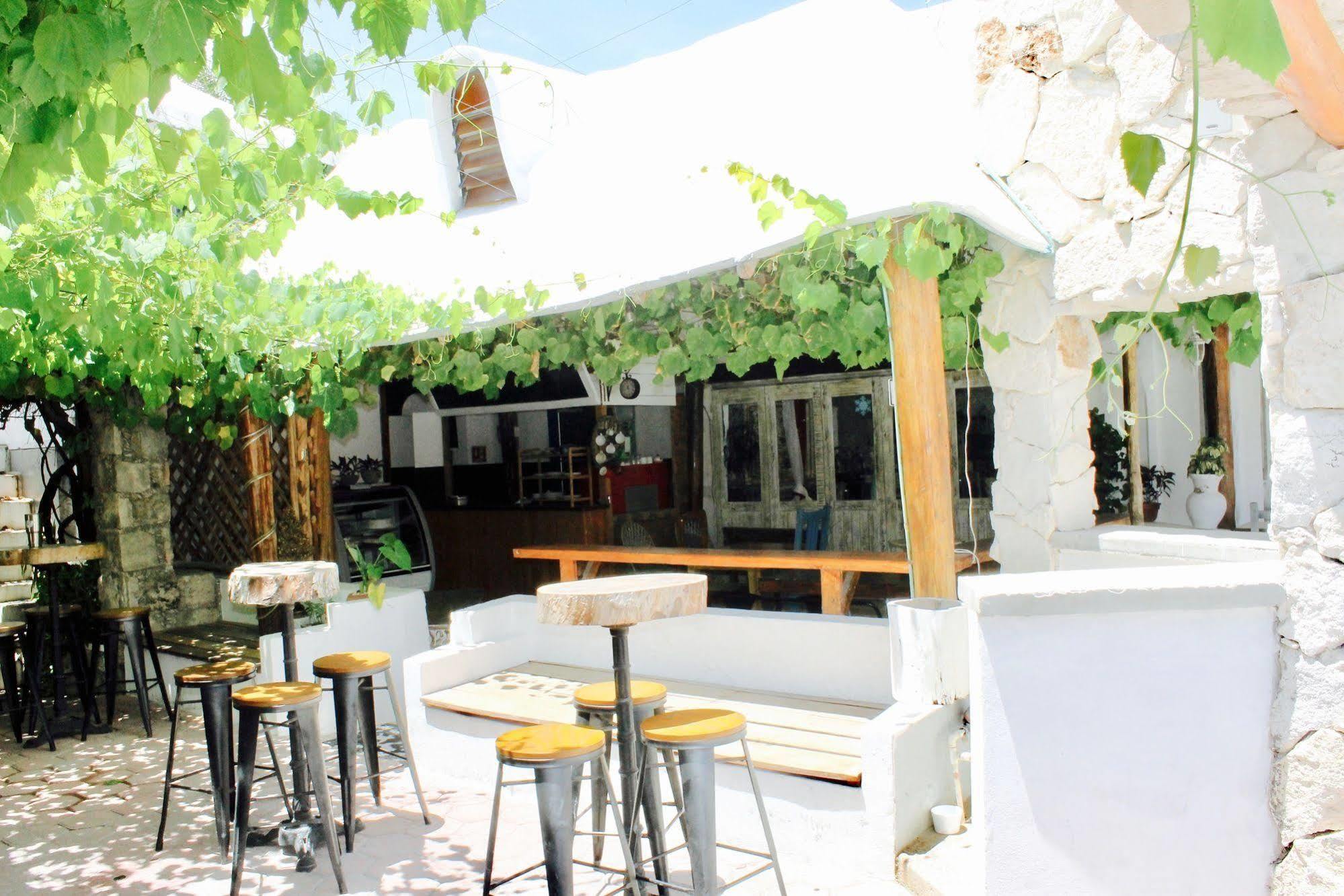 Posada Amor Hotel Boutique Пуэрто-Морелос Экстерьер фото
