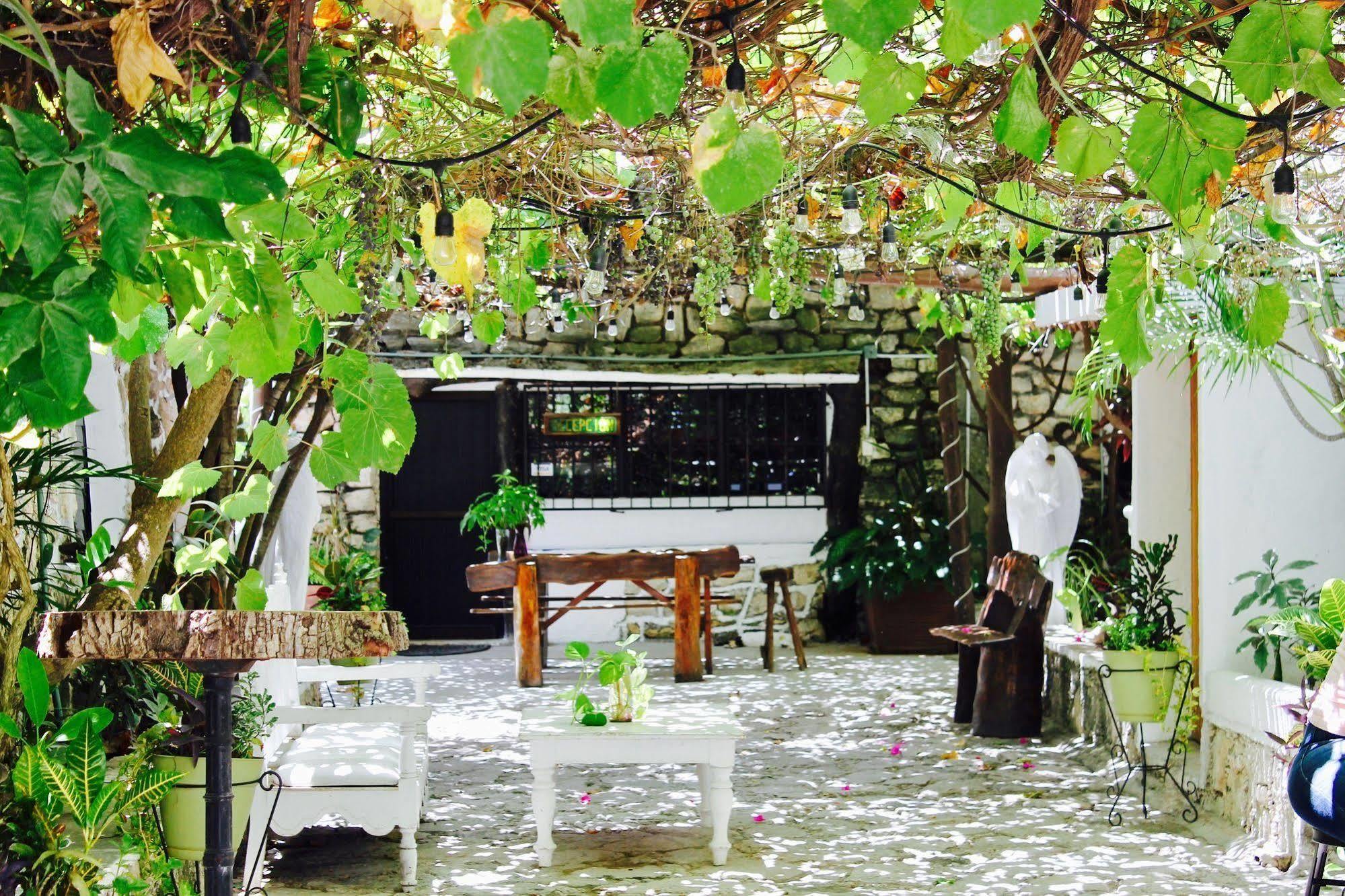 Posada Amor Hotel Boutique Пуэрто-Морелос Экстерьер фото
